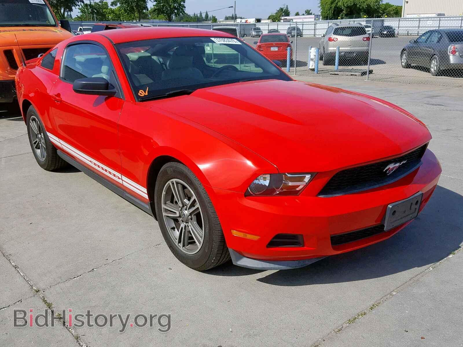 Фотография 1ZVBP8AM9C5230855 - FORD MUSTANG 2012