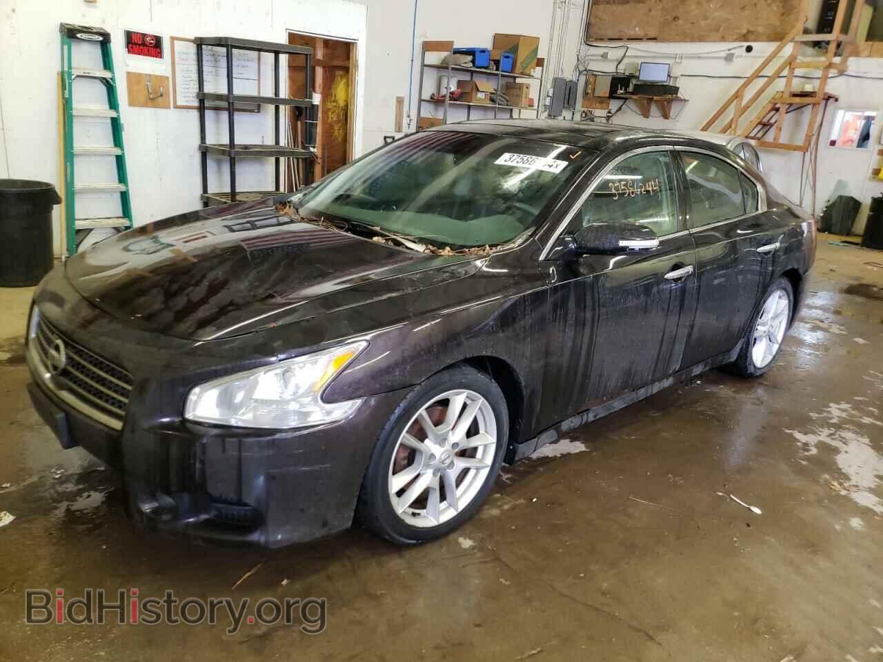 Photo 1N4AA5AP7AC819216 - NISSAN MAXIMA 2010