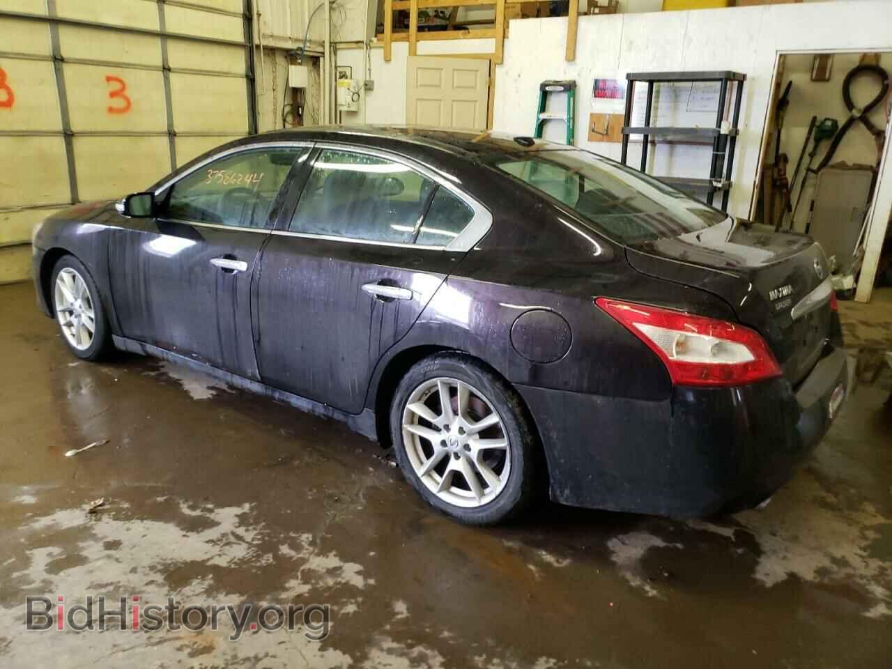 2010 NISSAN MAXIMA - VIN: 1N4AA5AP7AC819216 - Фото 2