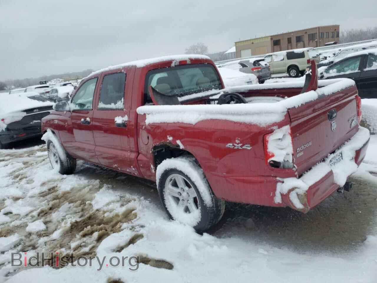 2011 DODGE DAKOTA - VIN: 1D7RW3GP0BS553402 - Фото 2