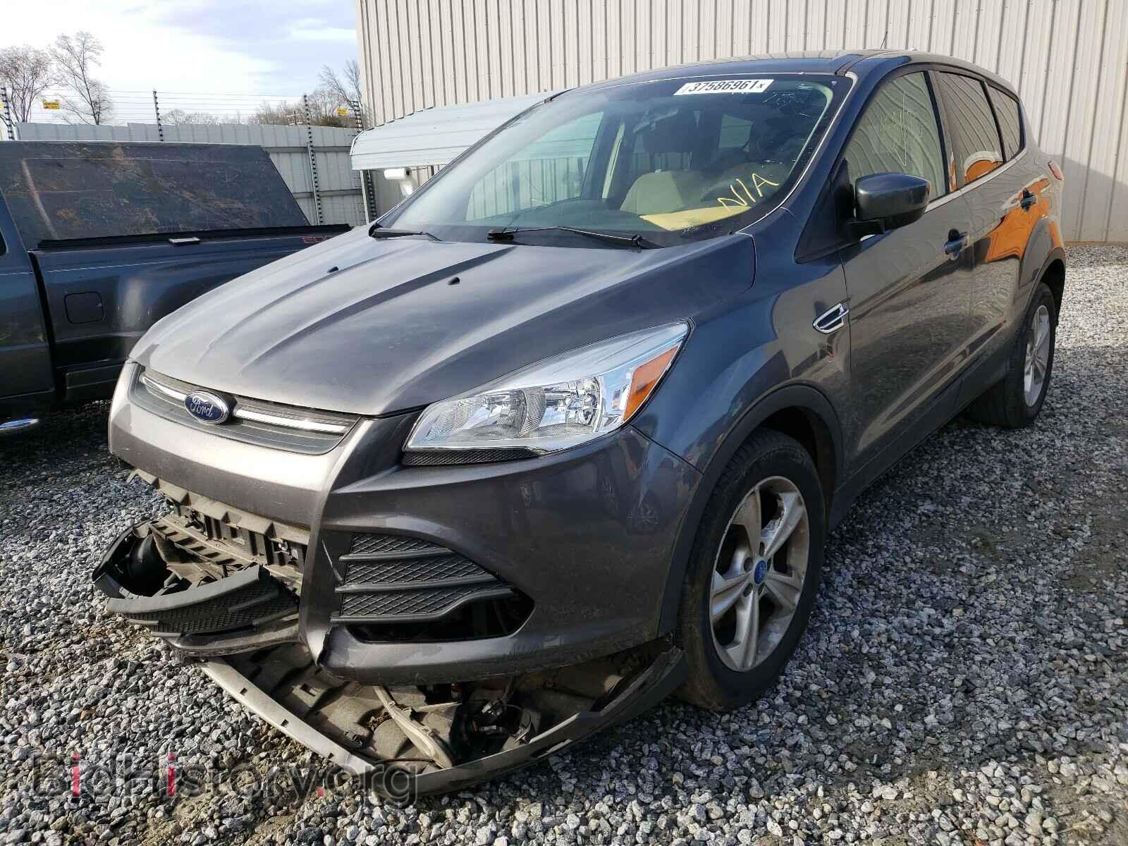2013 FORD ESCAPE - VIN: 1FMCU0GX9DUC91130 - Фото 2