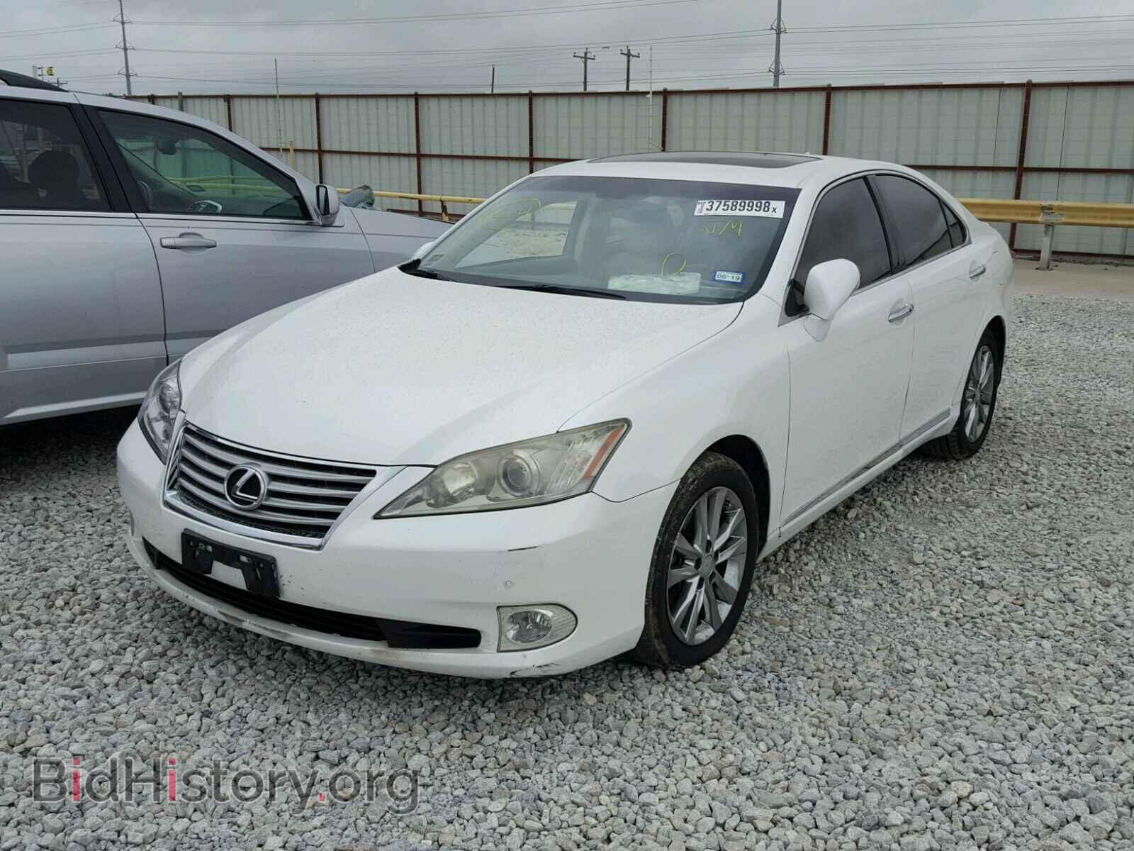 2011 LEXUS ES350 - VIN: JTHBK1EG6B2423573 - Фото 2