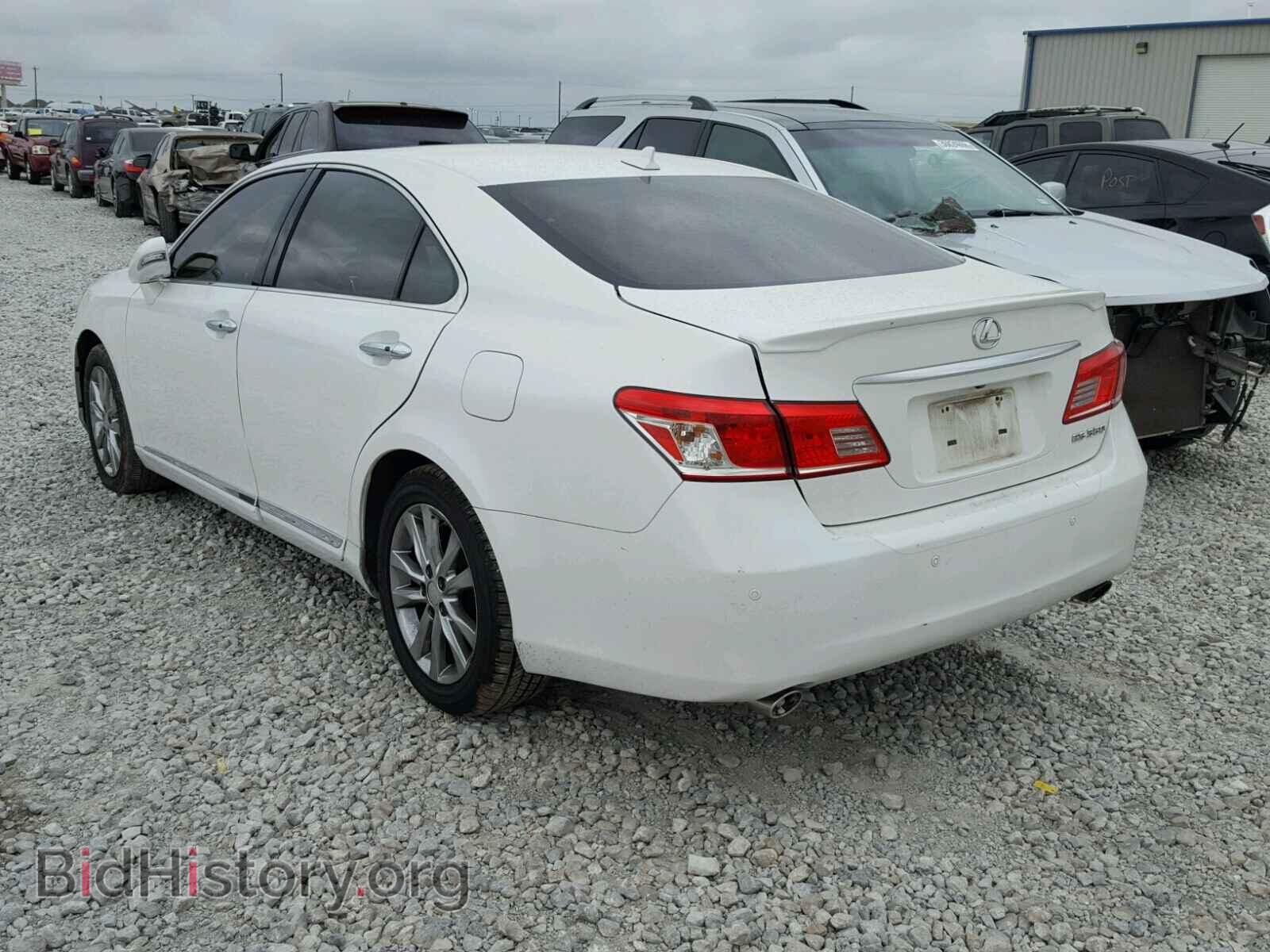 2011 LEXUS ES350 - VIN: JTHBK1EG6B2423573 - Фото 3