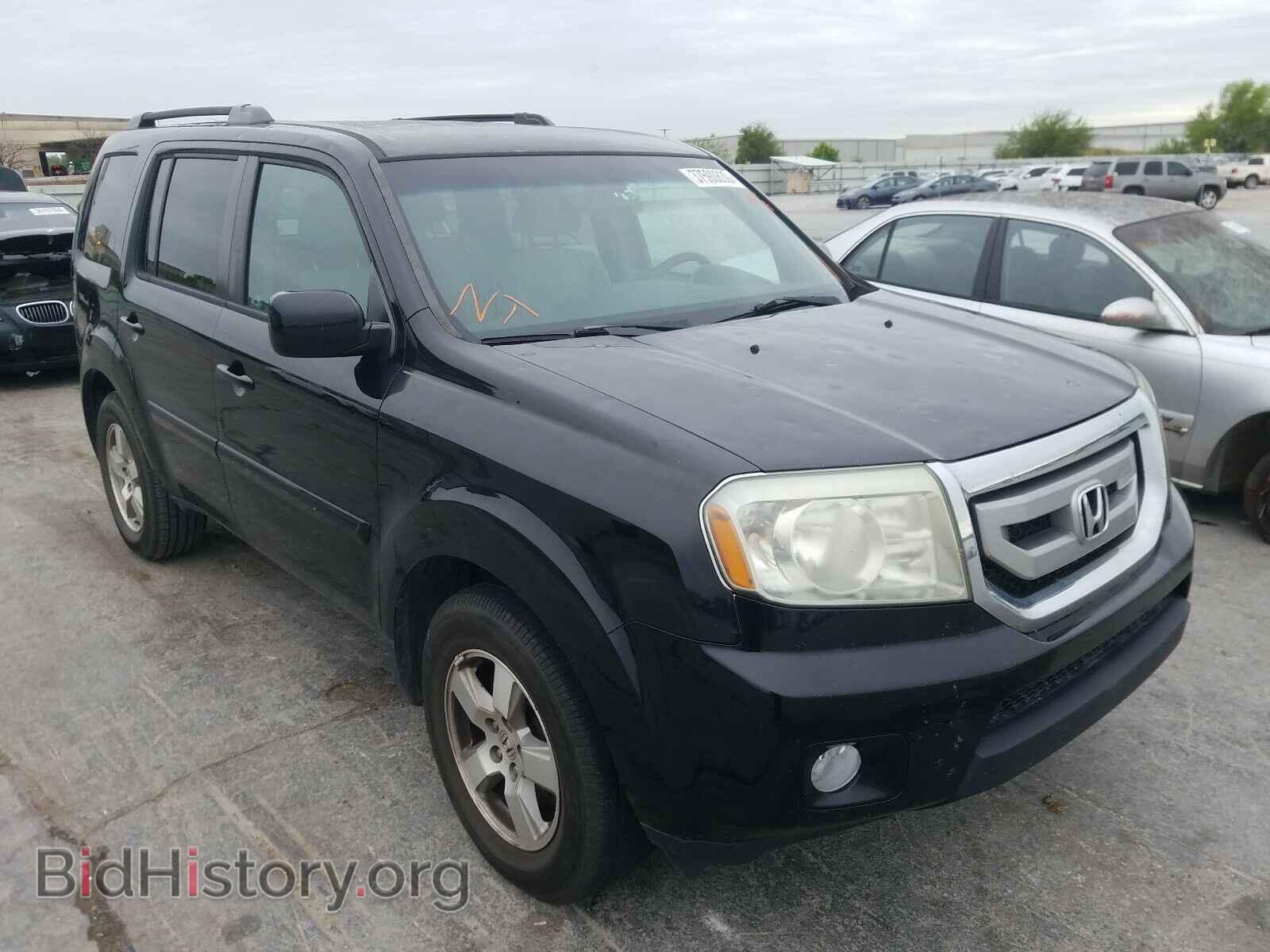 Фотография 5FNYF3H43BB043827 - HONDA PILOT 2011