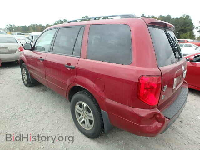 2005 HONDA PILOT - VIN: 5FNYF18575B022450 - Фото 3