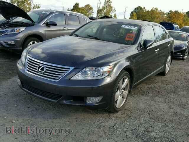 2011 LEXUS LS460 - VIN: JTHGL5EF8B5044395 - Photo 2