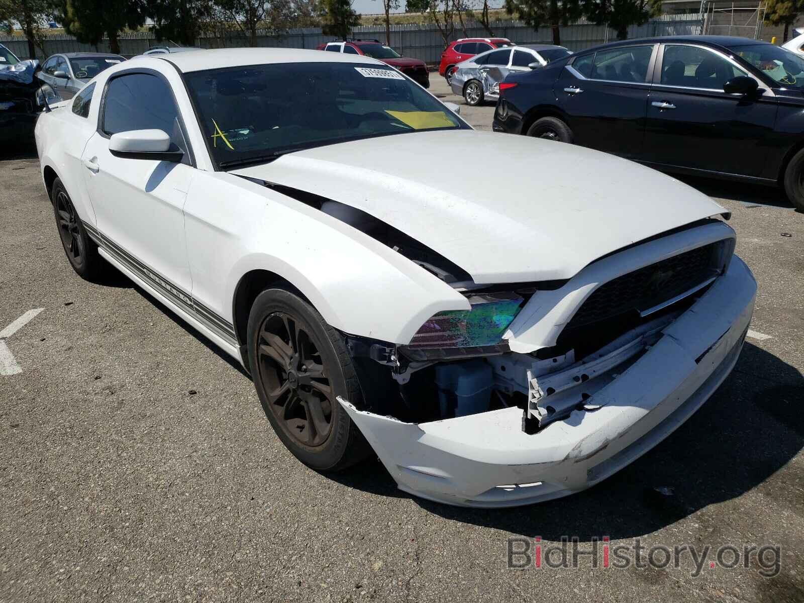 Photo 1ZVBP8AM9E5229515 - FORD MUSTANG 2014