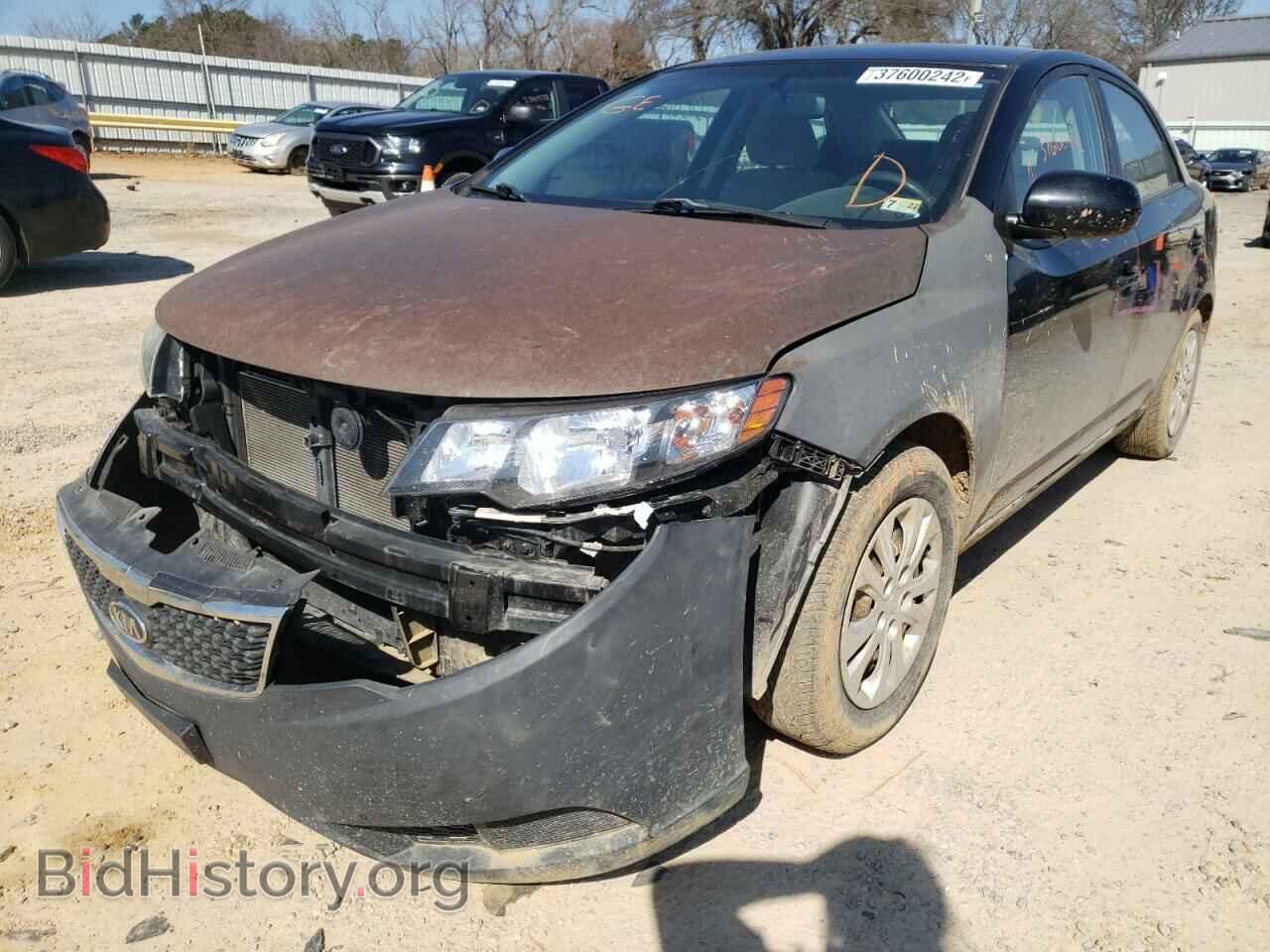 2011 KIA FORTE - VIN: KNAFT4A24B5888294 - Фото 2