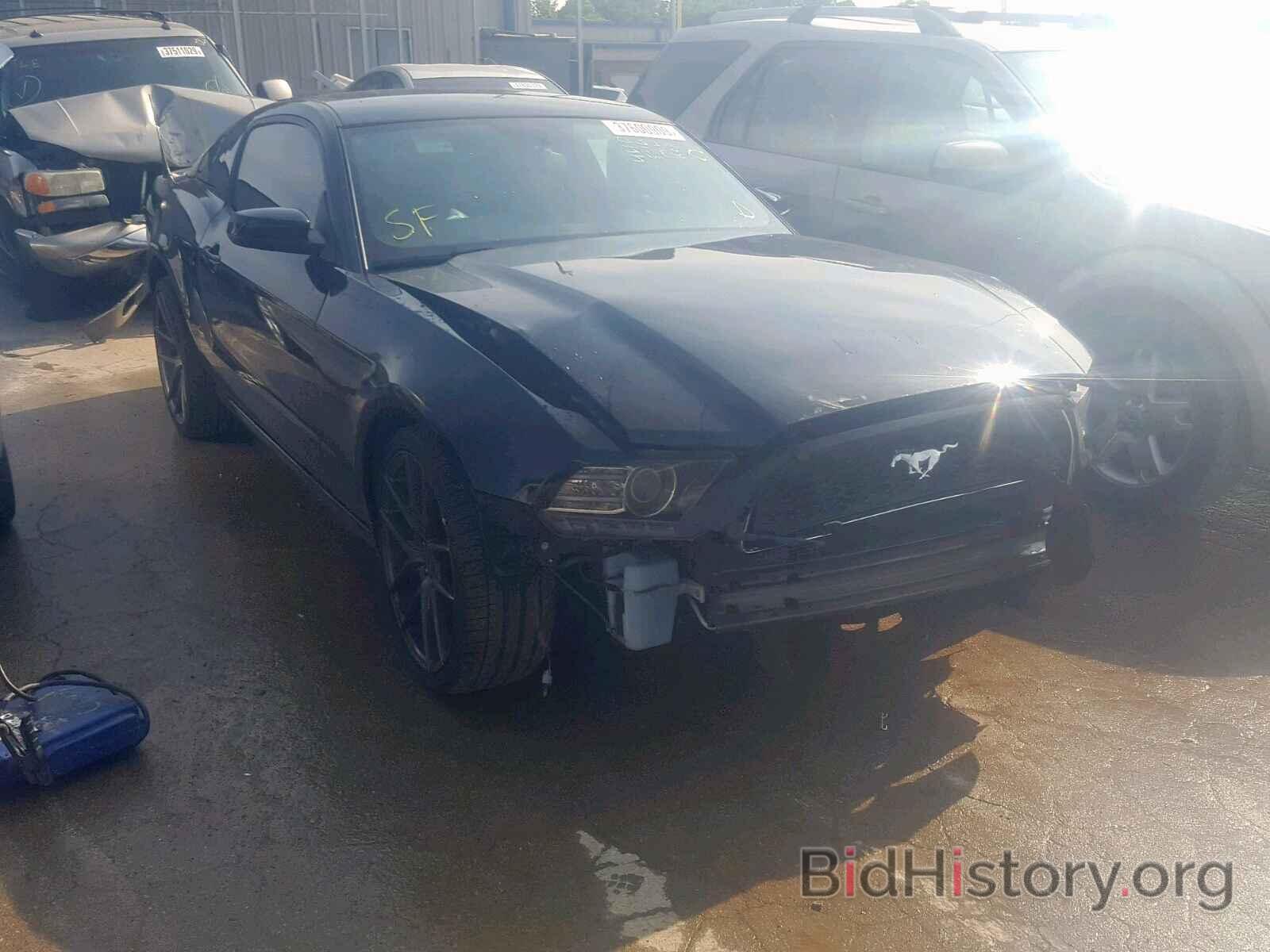 Photo 1ZVBP8AM2E5264610 - FORD MUSTANG 2014