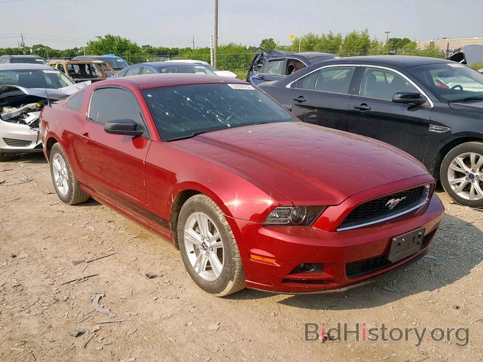 Фотография 1ZVBP8AMXE5313164 - FORD MUSTANG 2014