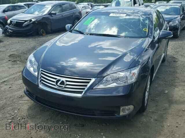 2010 LEXUS ES350 - VIN: JTHBK1EG2A2353908 - Фото 2