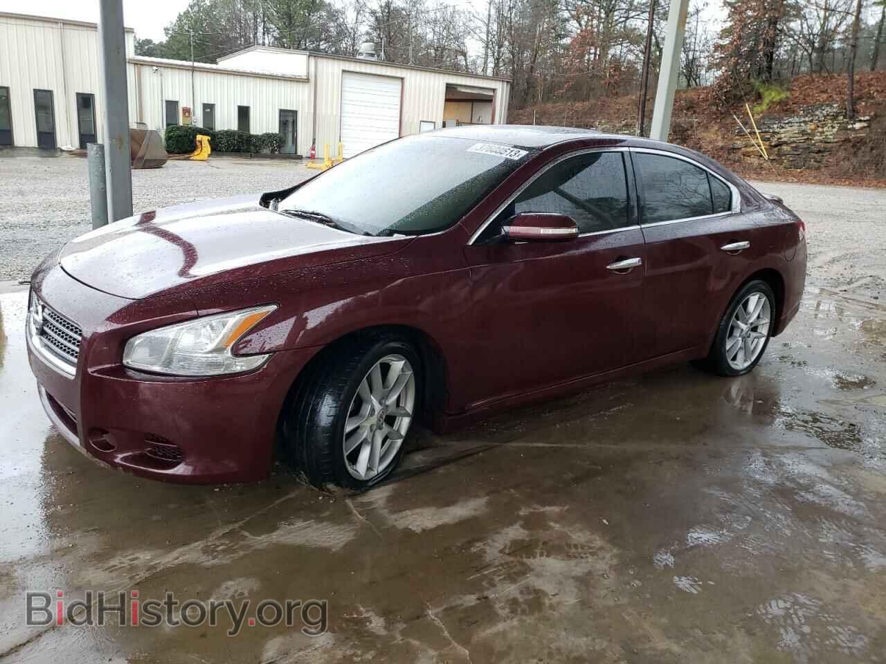 Фотография 1N4AA5AP3AC875055 - NISSAN MAXIMA 2010
