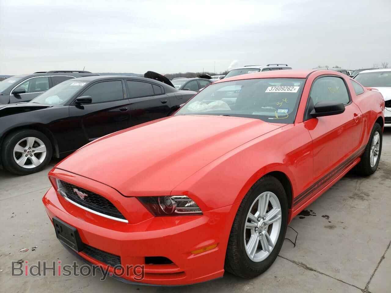 2013 FORD MUSTANG - VIN: 1ZVBP8AM6D5246318 - Фото 2