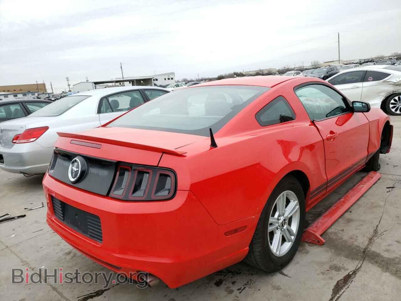 2013 FORD MUSTANG - VIN: 1ZVBP8AM6D5246318 - Фото 4