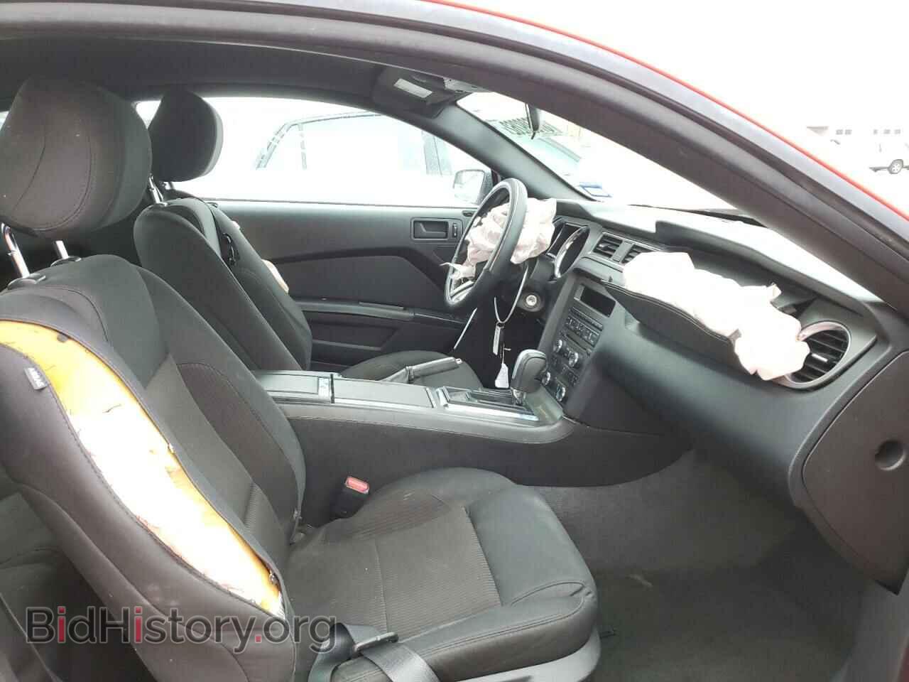 2013 FORD MUSTANG - VIN: 1ZVBP8AM6D5246318 - Фото 5
