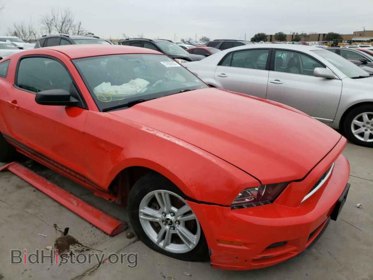 2013 FORD MUSTANG - VIN: 1ZVBP8AM6D5246318 - Фото 9