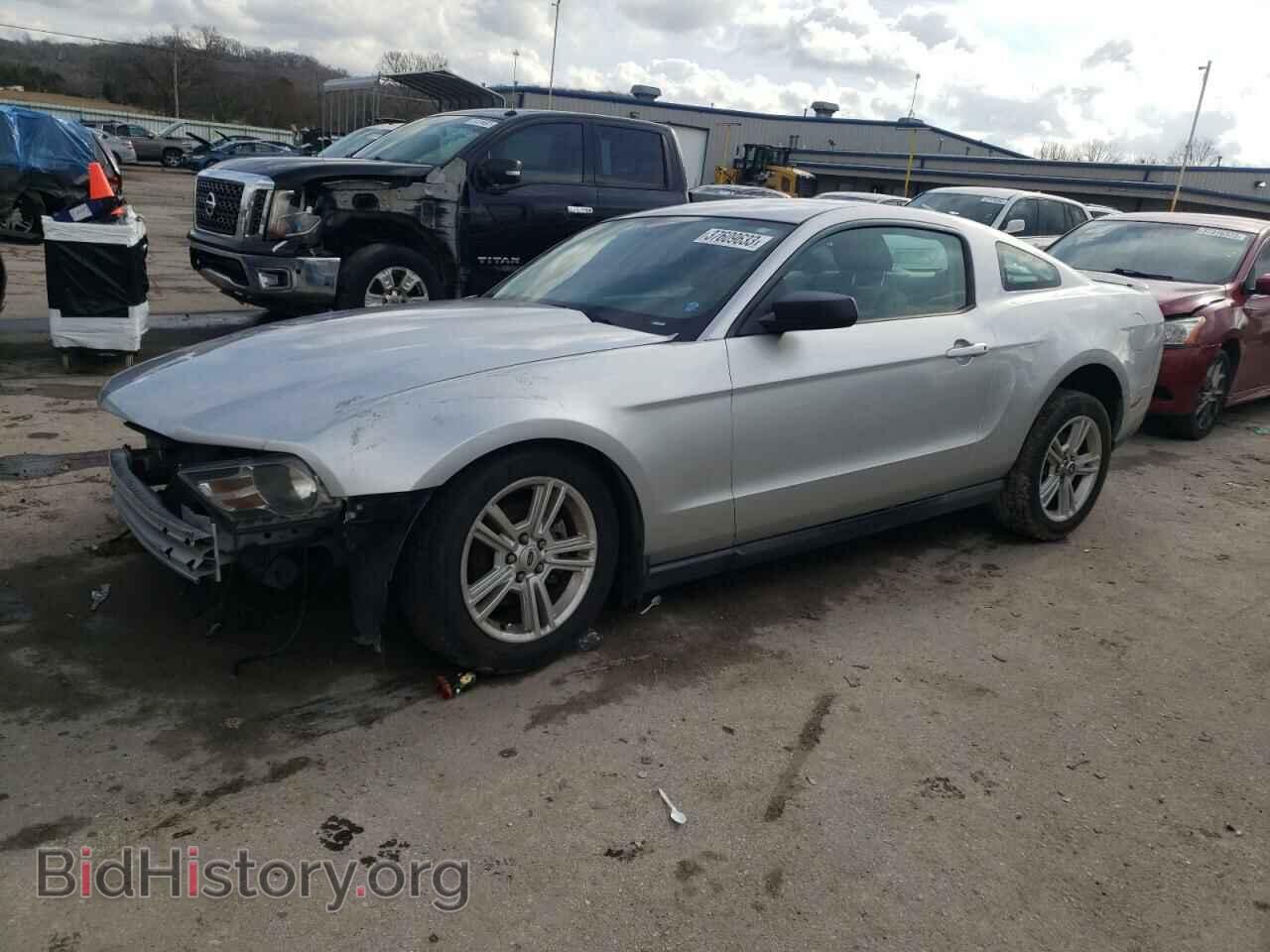 Photo 1ZVBP8AN1A5137768 - FORD MUSTANG 2010
