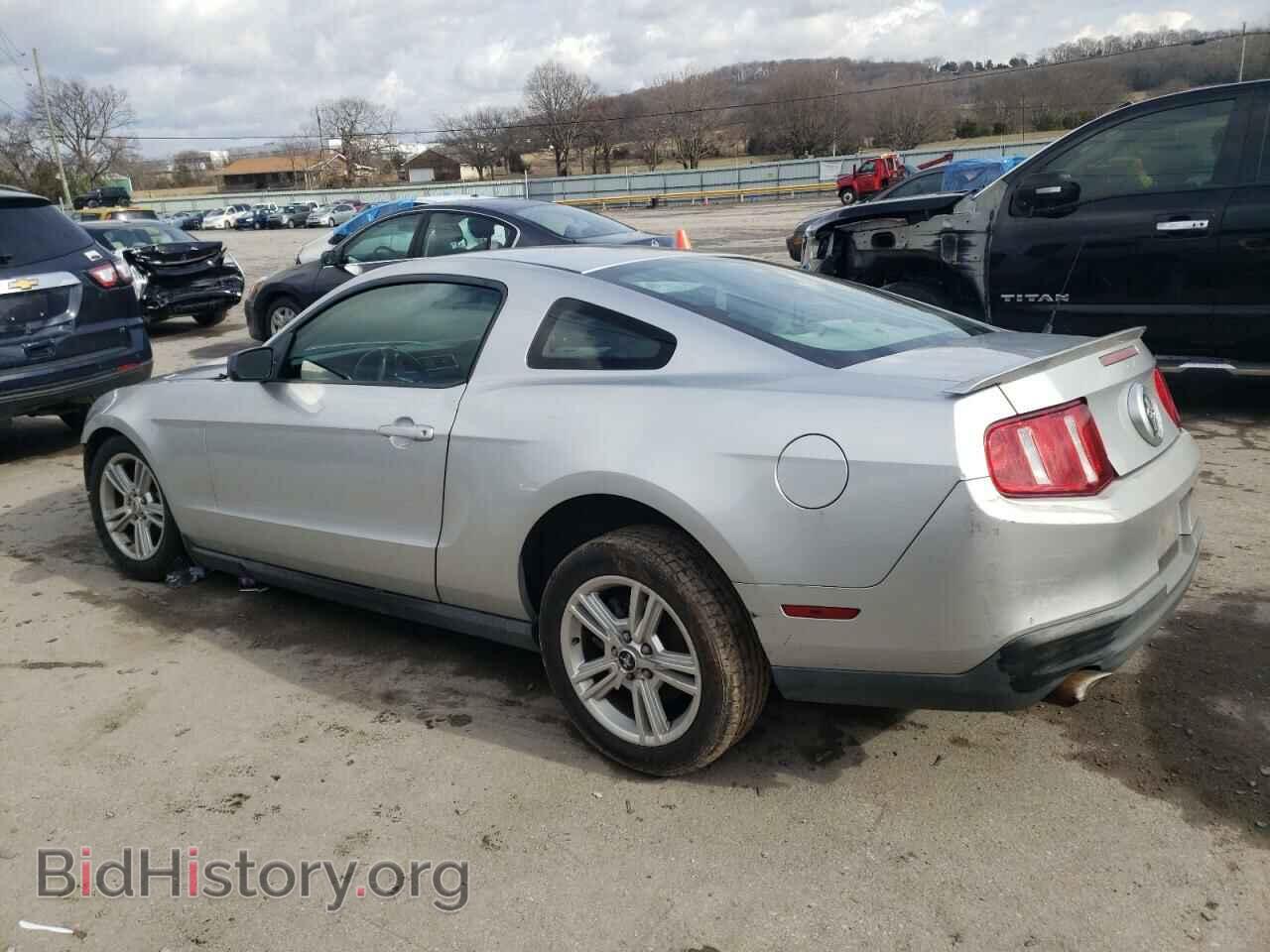 2010 FORD MUSTANG - VIN: 1ZVBP8AN1A5137768 - Фото 2
