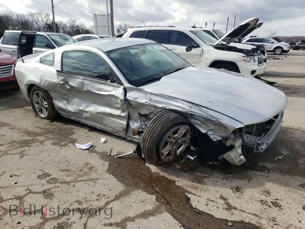 2010 FORD MUSTANG - VIN: 1ZVBP8AN1A5137768 - Фото 4