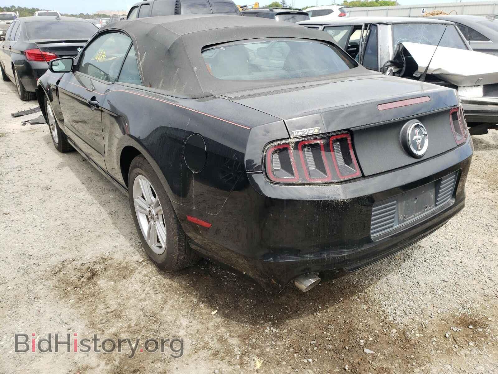2013 FORD MUSTANG - VIN: 1ZVBP8EM9D5216935 - Фото 3