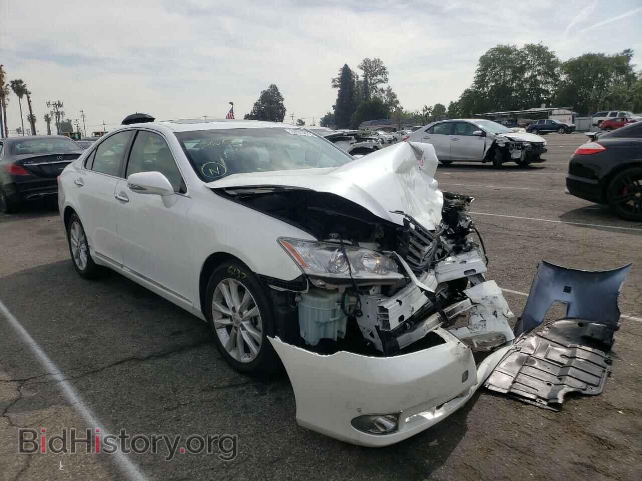 Фотография JTHBK1EG2A2403450 - LEXUS ES350 2010