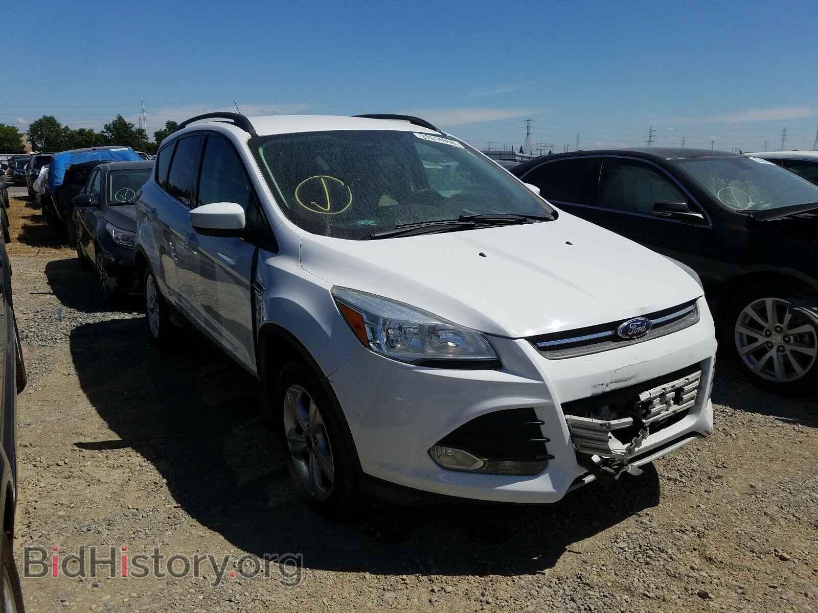 Photo 1FMCU0GX2EUC69309 - FORD ESCAPE 2014