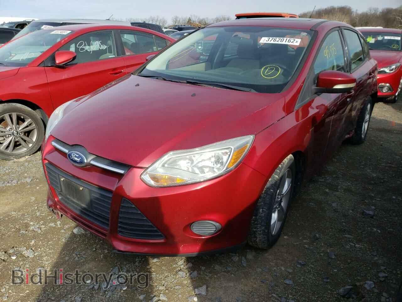 2013 FORD FOCUS - VIN: 1FADP3K22DL156161 - Фото 2