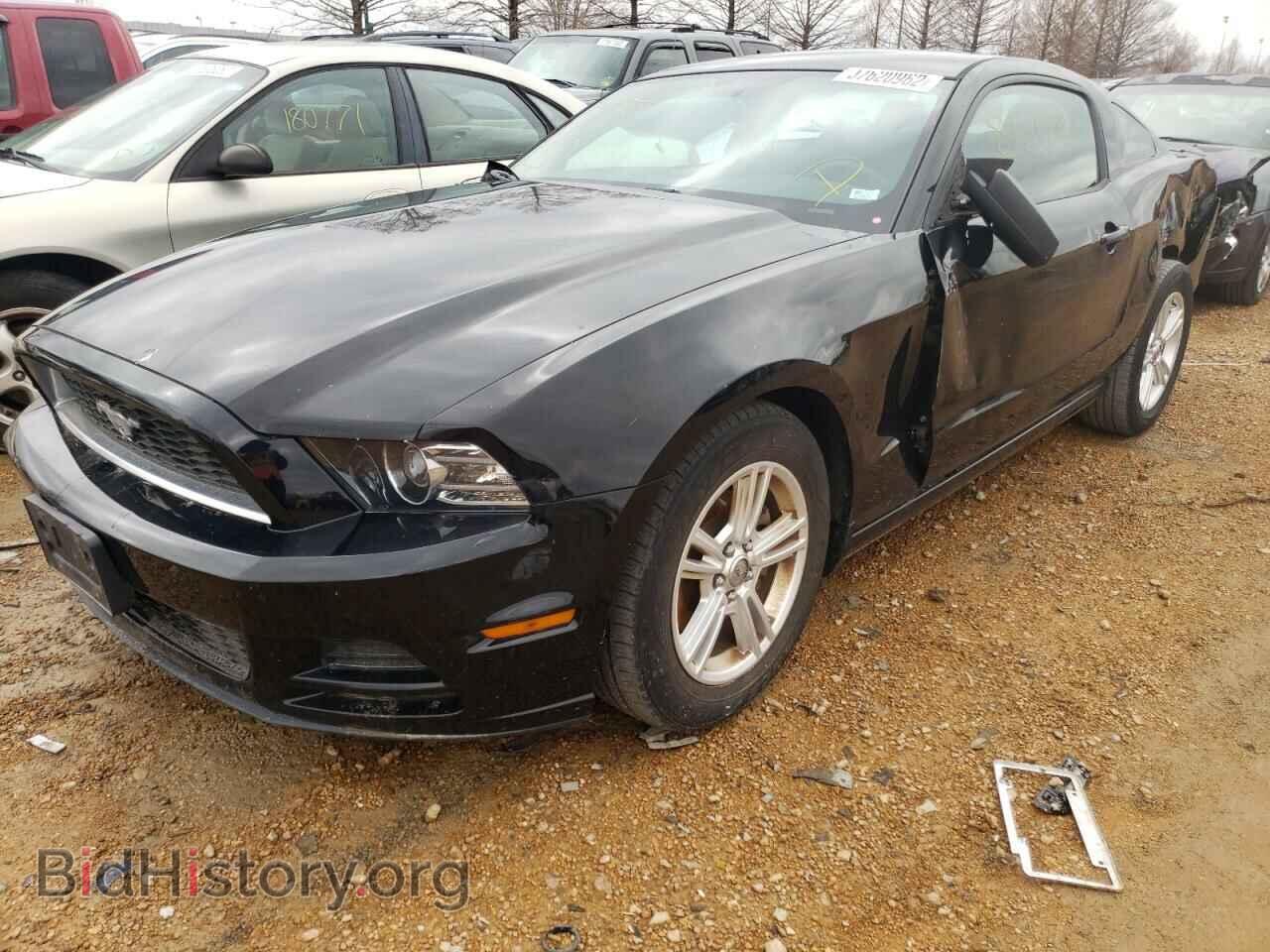 2013 FORD MUSTANG - VIN: 1ZVBP8AM4D5224057 - Фото 2