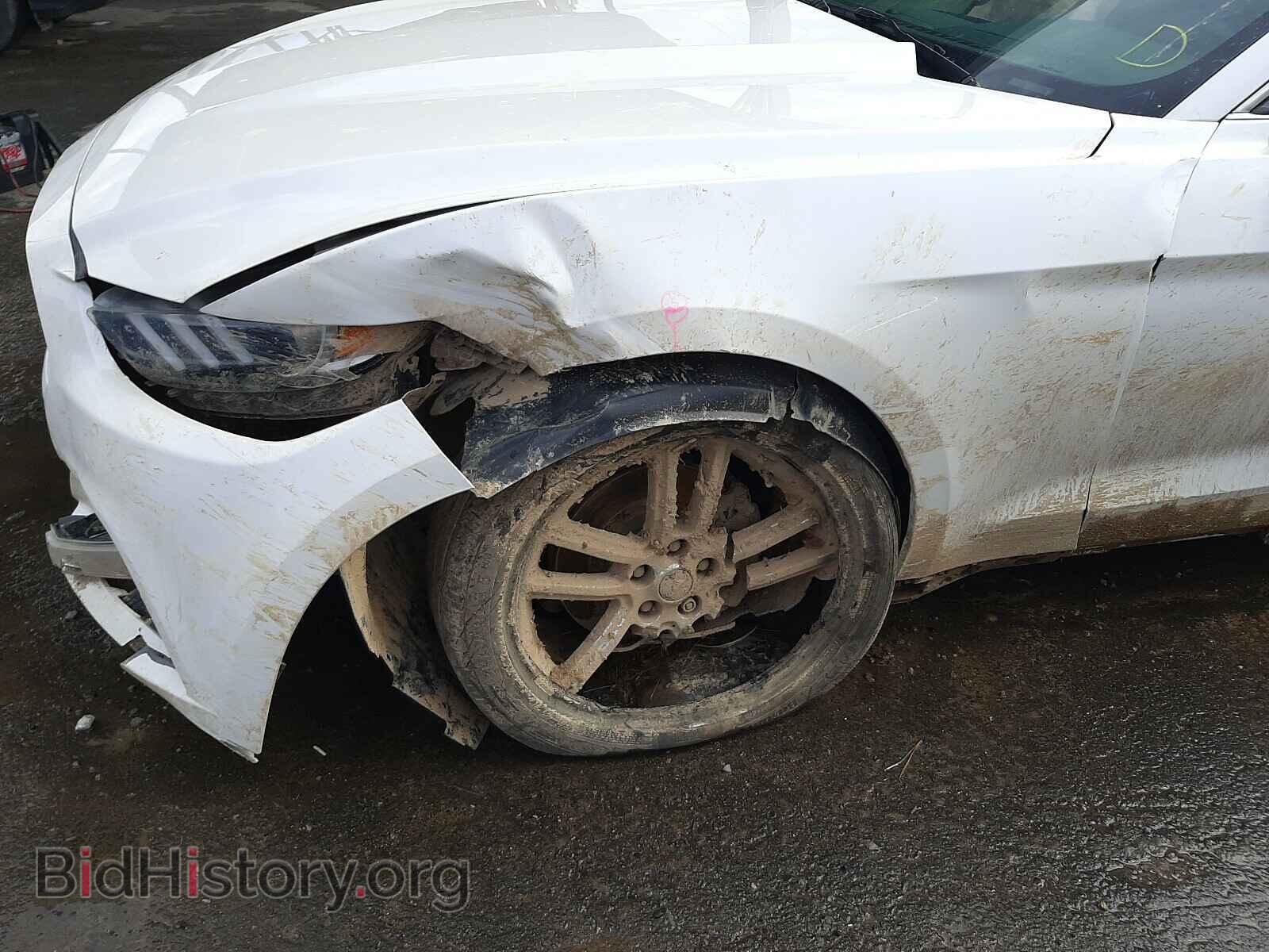 2017 FORD MUSTANG - VIN: 1FA6P8THXH5214908 - Фото 9