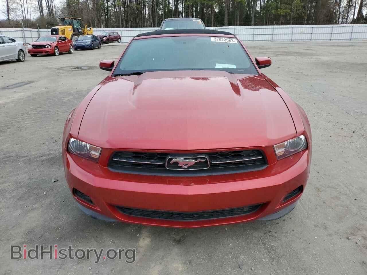 2011 FORD MUSTANG - VIN: 1ZVBP8EM7B5100629 - Фото 5