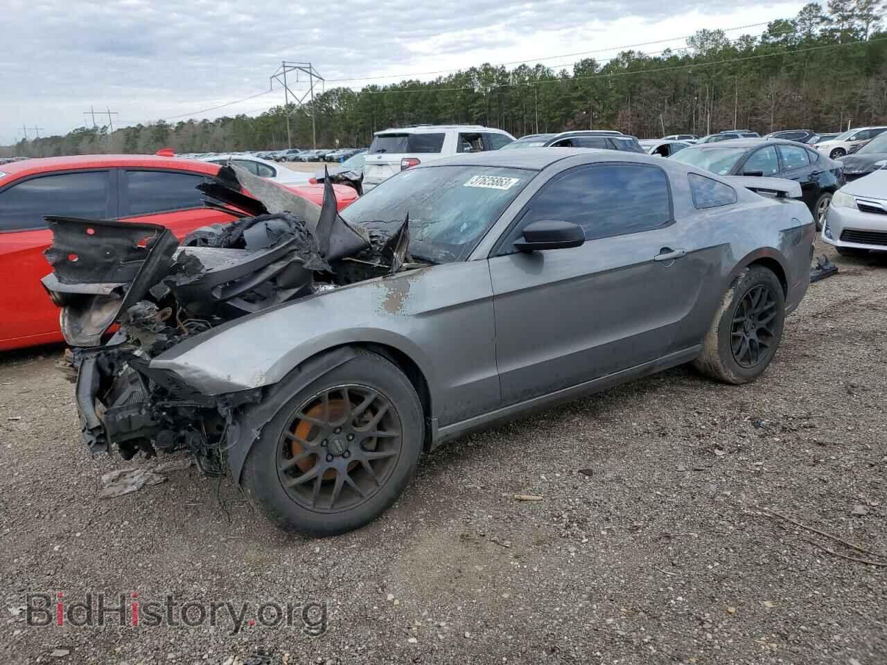 Фотография 1ZVBP8AM5D5254829 - FORD MUSTANG 2013