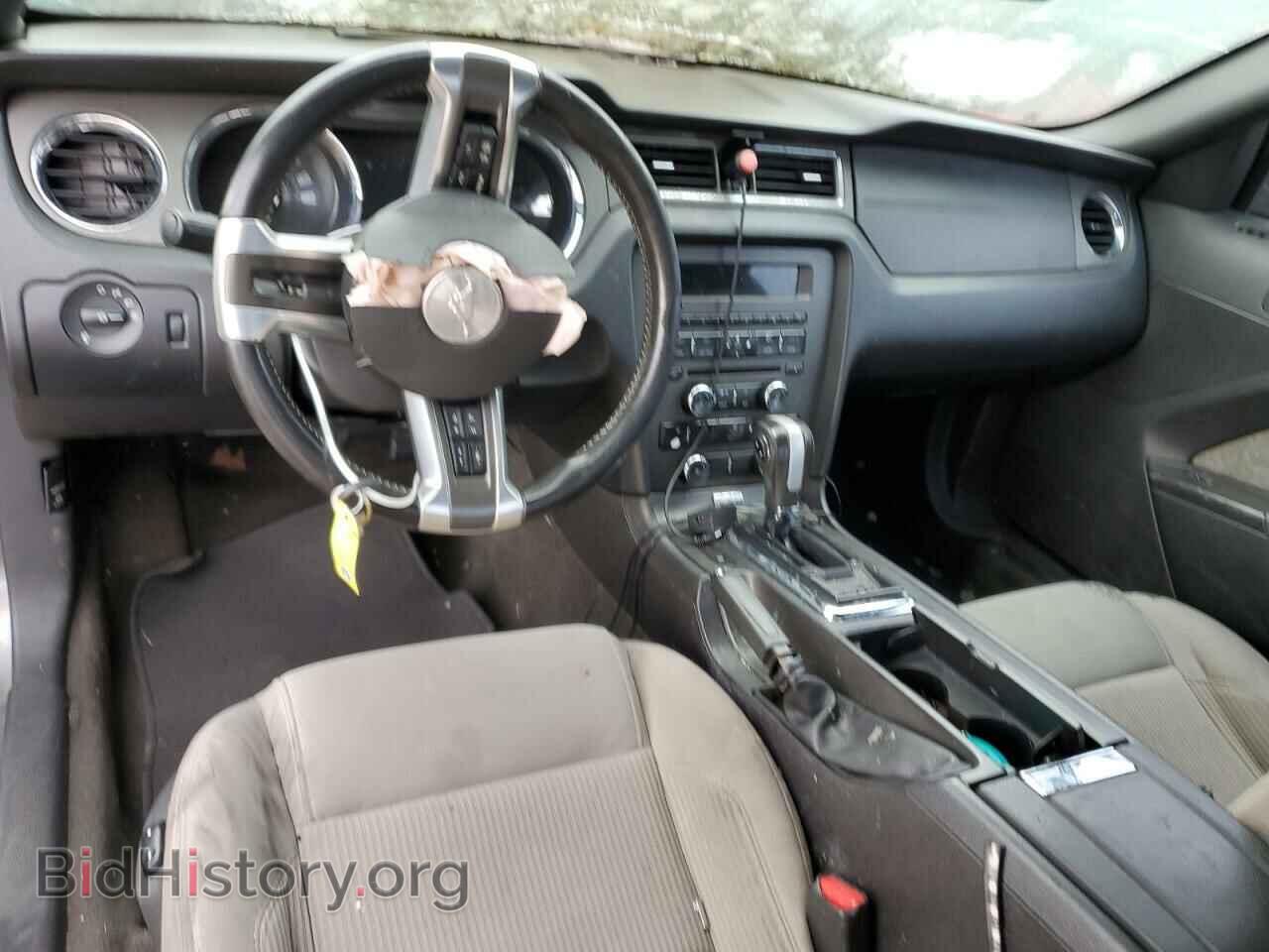 2013 FORD MUSTANG - VIN: 1ZVBP8AM5D5254829 - Фото 8