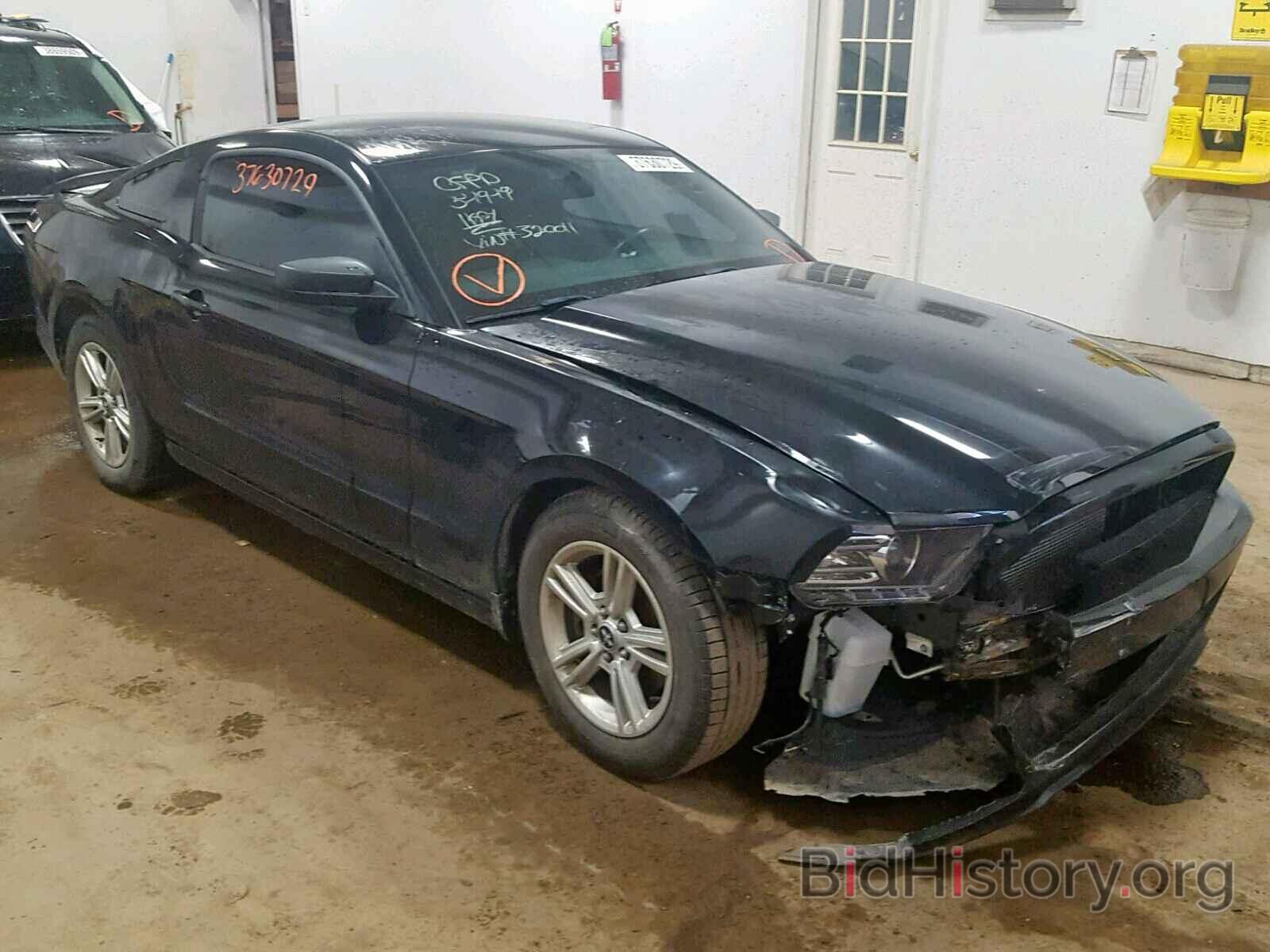 Photo 1ZVBP8AM9E5320011 - FORD MUSTANG 2014