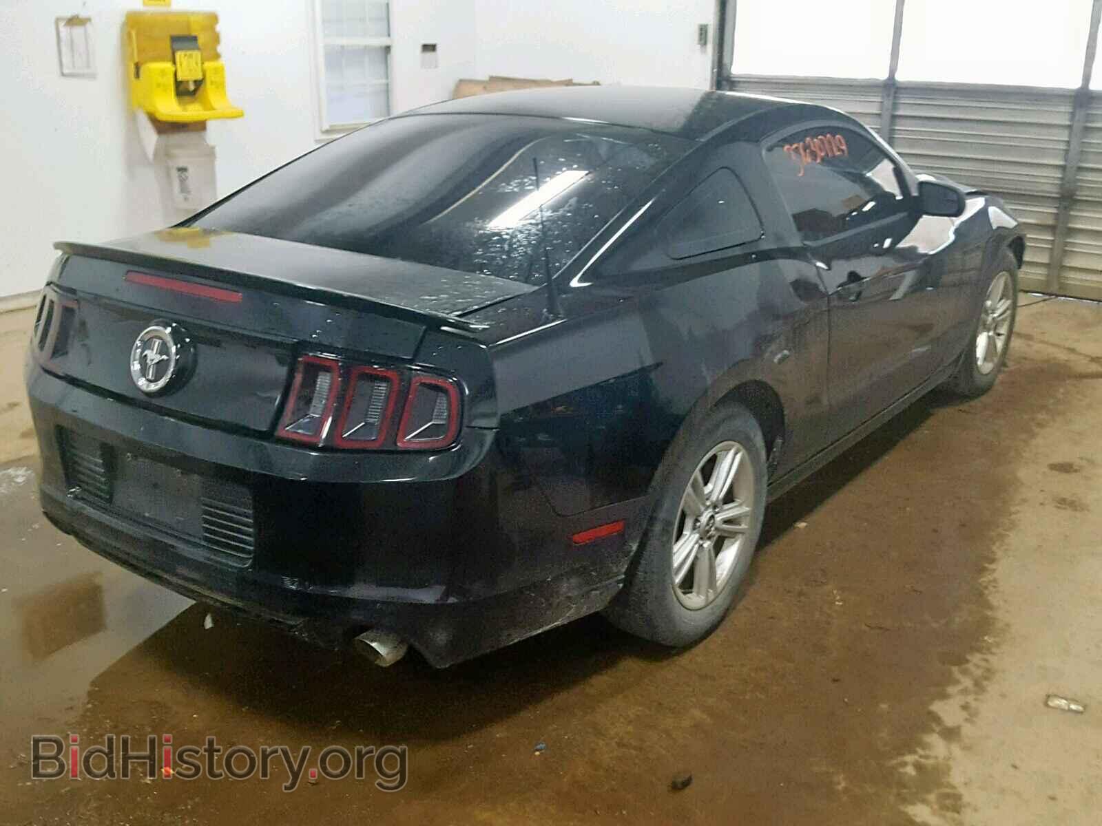 2014 FORD MUSTANG - VIN: 1ZVBP8AM9E5320011 - Фото 4