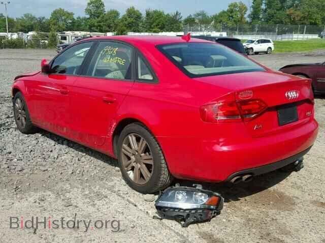 2010 AUDI A4 - VIN: WAUBFAFL2AN003238 - Фото 3