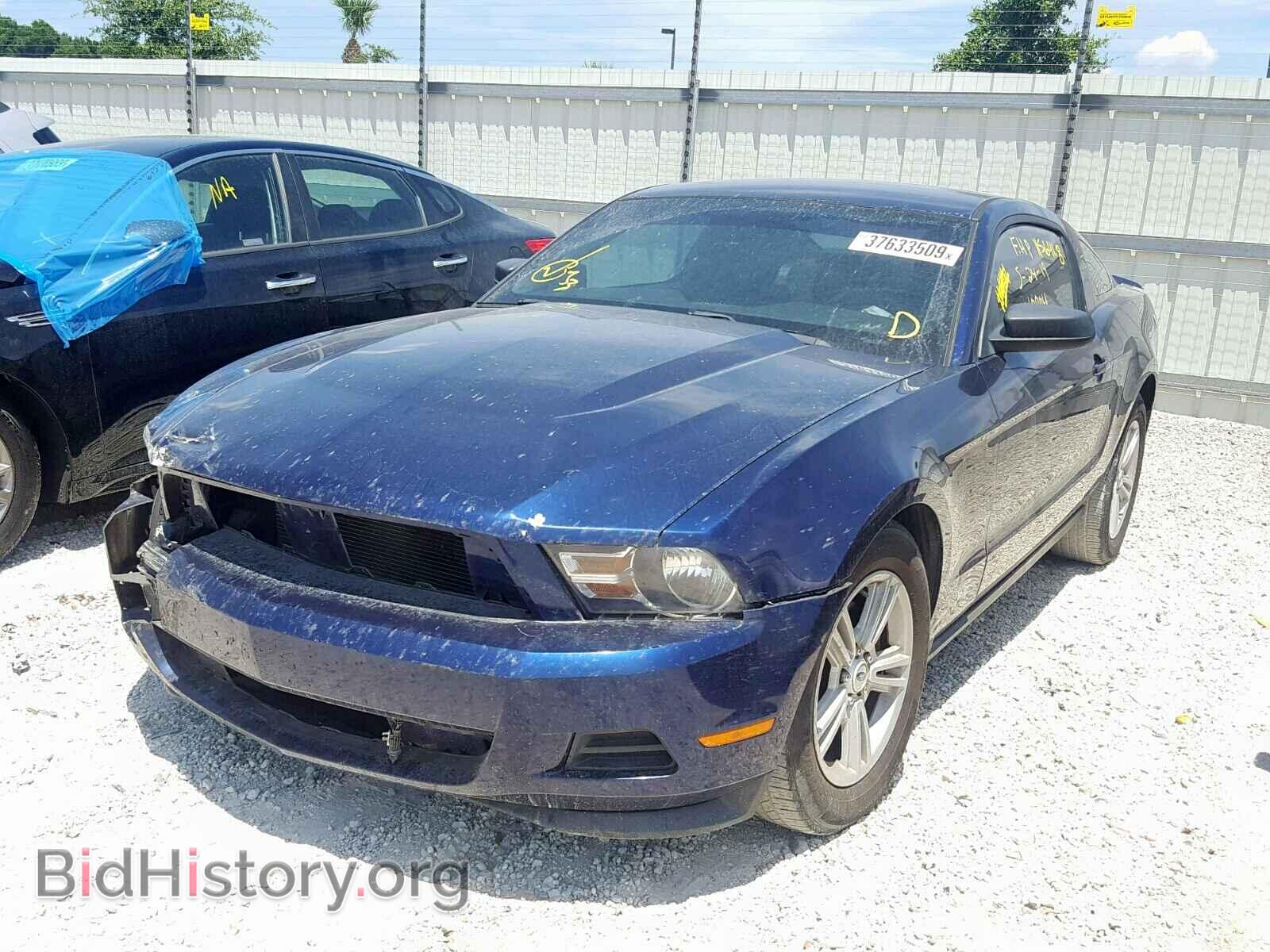 2012 FORD MUSTANG - VIN: 1ZVBP8AM4C5274696 - Фото 2