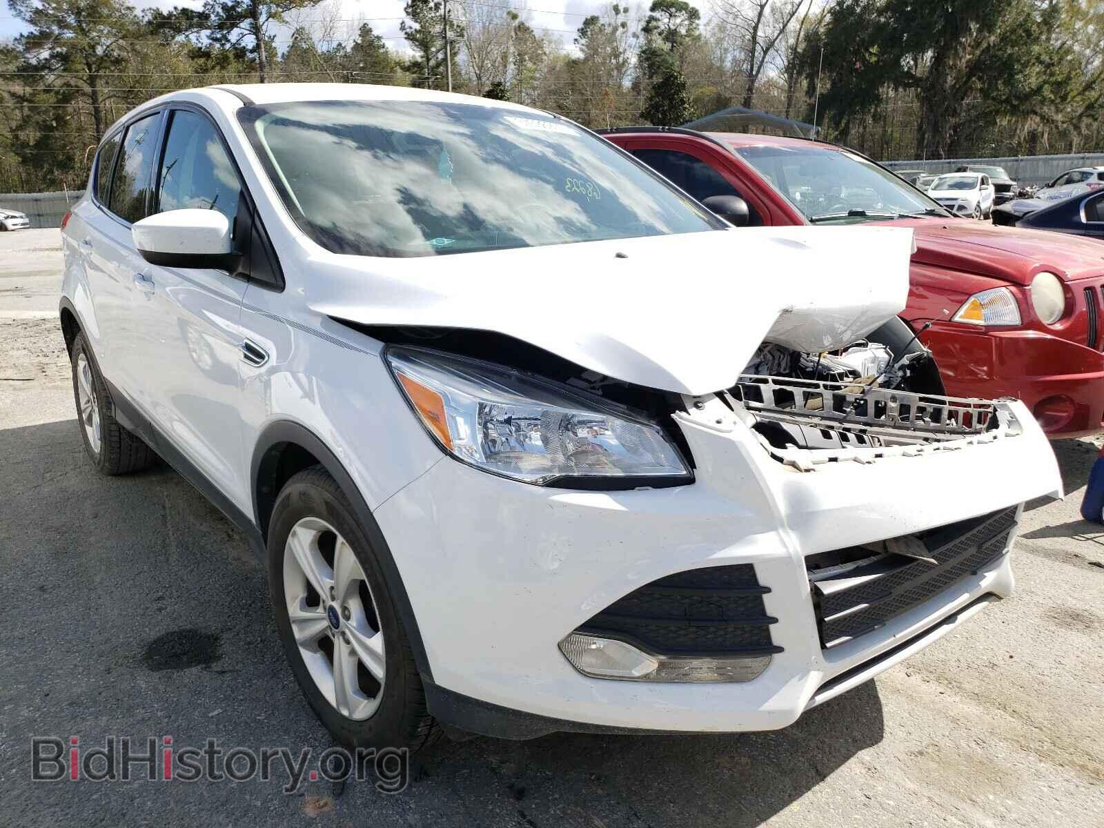 Photo 1FMCU0GX7EUA44206 - FORD ESCAPE 2014