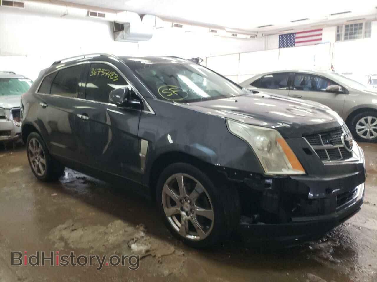 2010 CADILLAC SRX - VIN: 3GYFNBEY3AS537682 - Фото 4