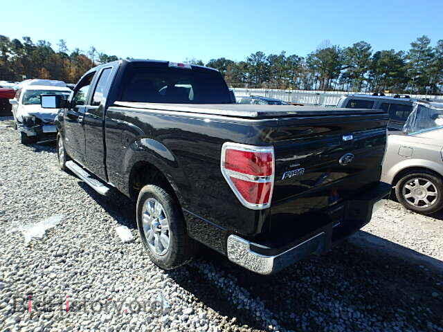 2011 FORD F150 - VIN: 1FTFX1CT8BFA99197 - Фото 3