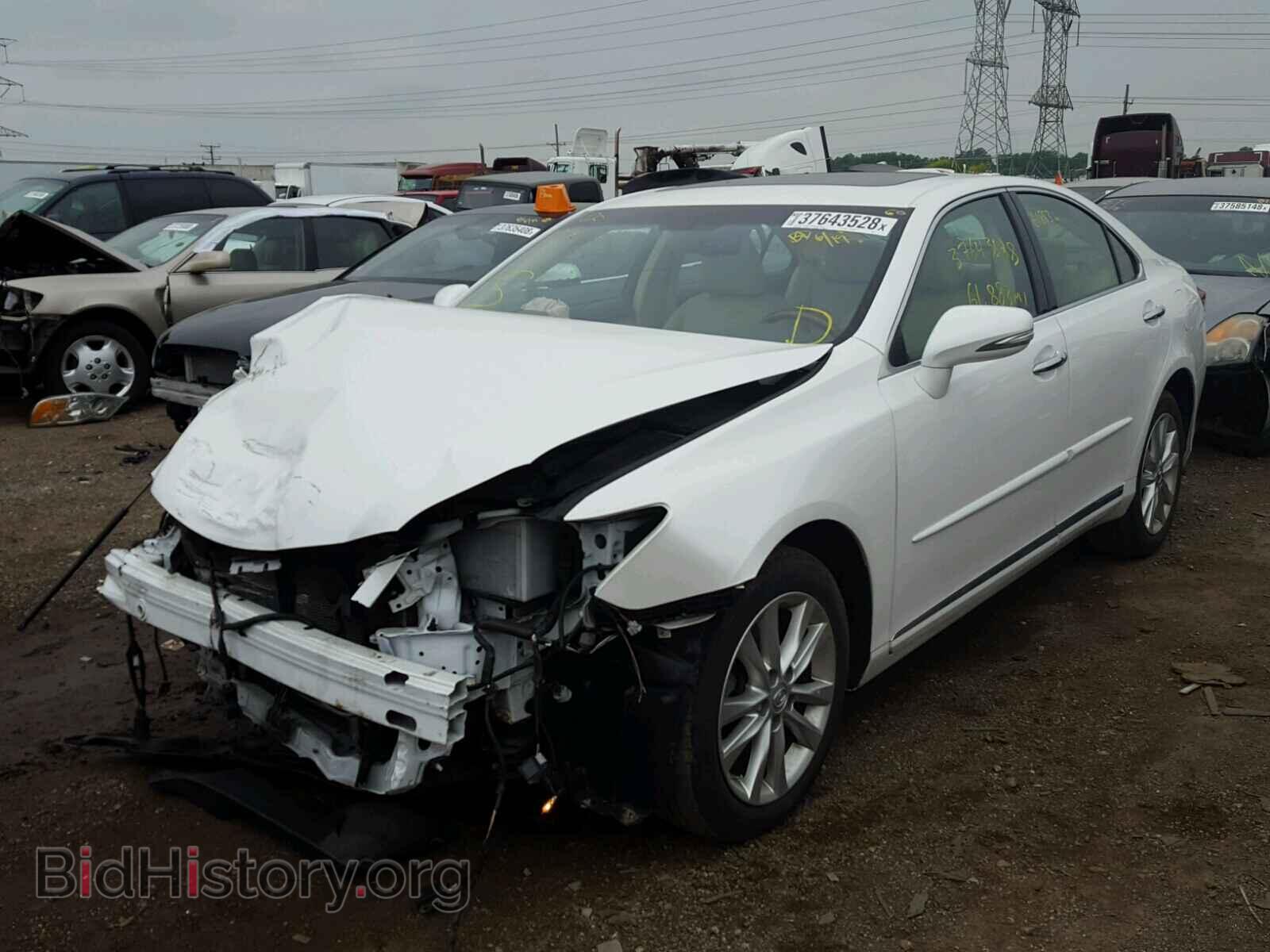 2011 LEXUS ES350 - VIN: JTHBK1EG3B2452271 - Фото 2