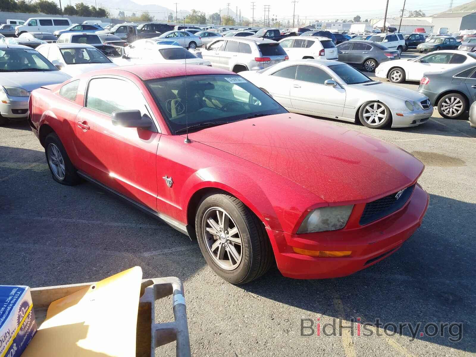 Photo 1ZVHT80N495109241 - FORD MUSTANG 2009