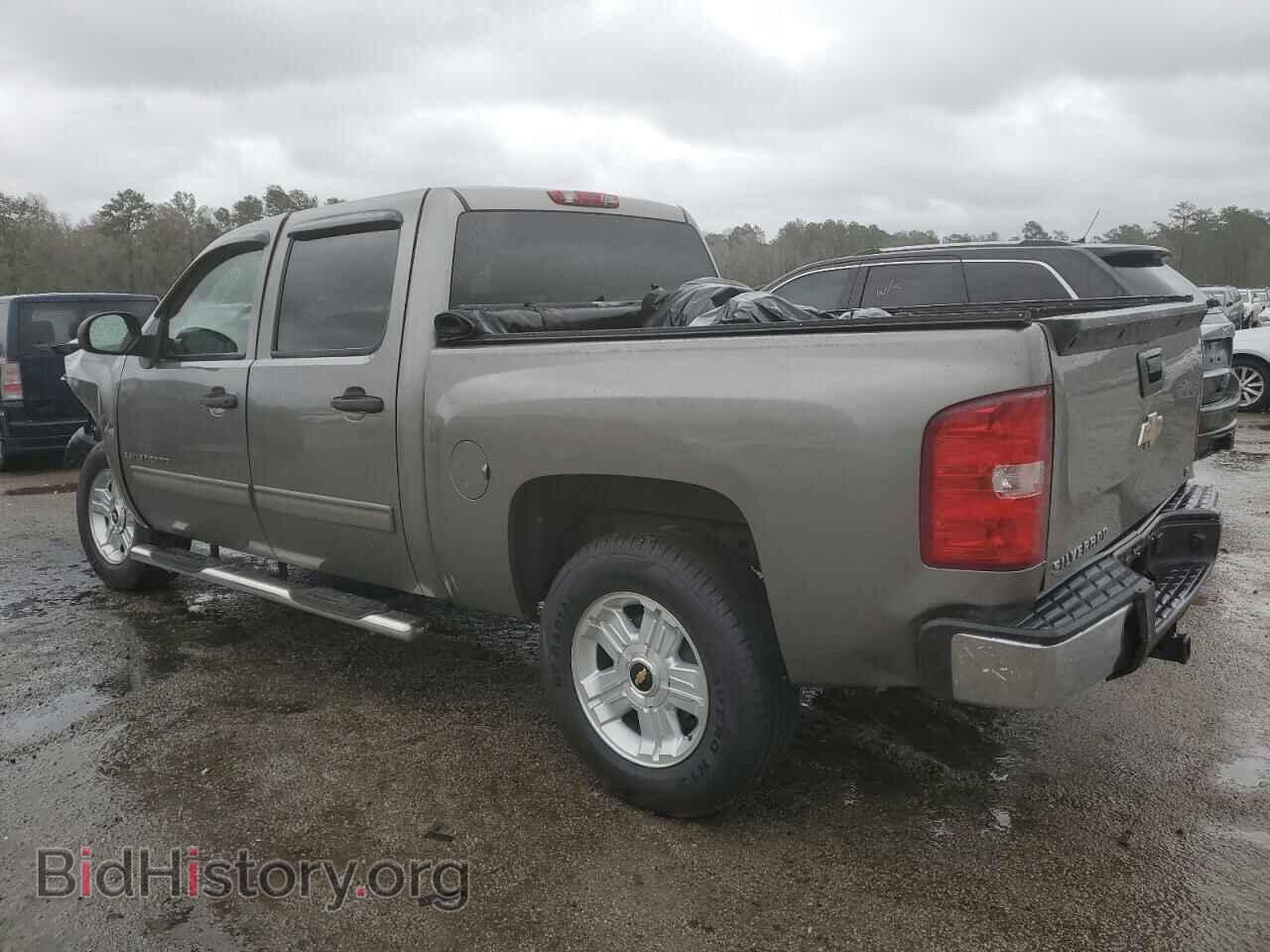 2009 CHEVROLET SILVERADO - VIN: 3GCEC13C19G213525 - Фото 2