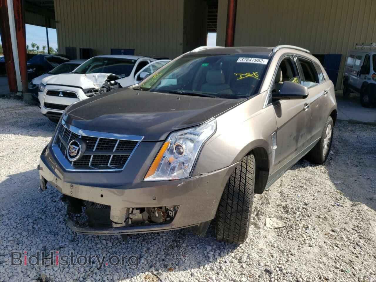 2011 CADILLAC SRX - VIN: 3GYFNAEY4BS630917 - Фото 2
