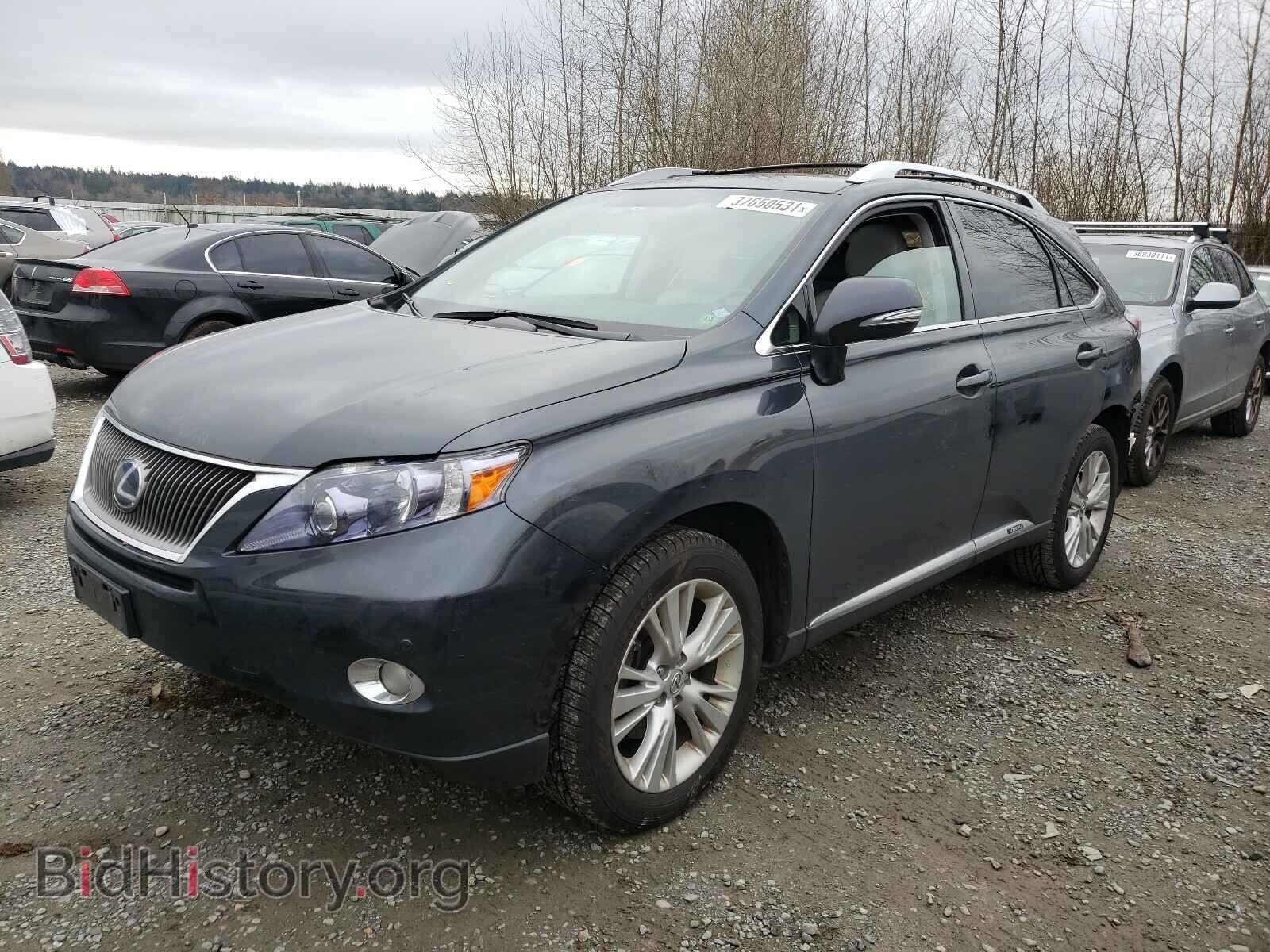 2010 LEXUS RX450 - VIN: JTJBC1BA4A2018080 - Фото 2