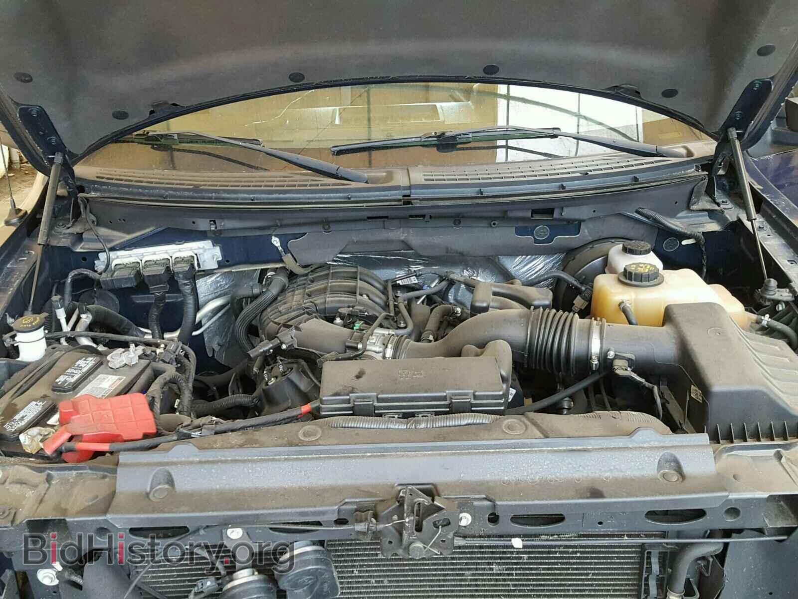 2012 FORD F150 - VIN: 1FTMF1CM2CFC68036 - Фото 5