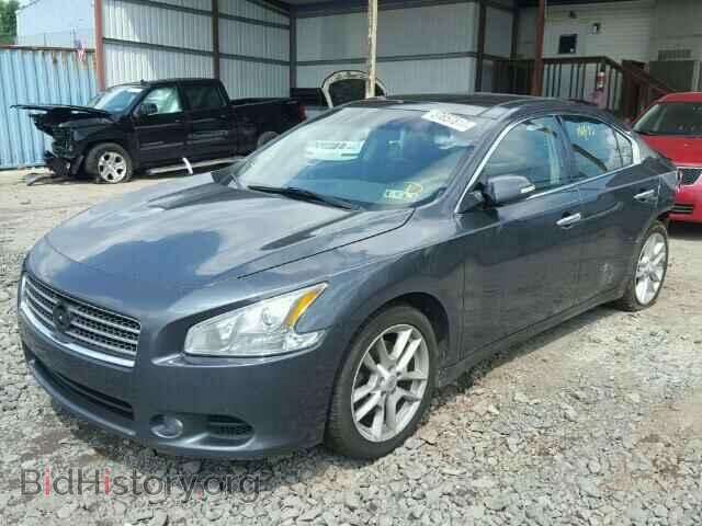 2009 NISSAN MAXIMA - VIN: 1N4AA51EX9C841964 - Фото 2