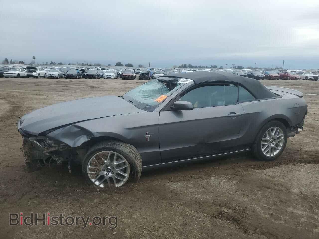 Фотография 1ZVBP8EM9D5252950 - FORD MUSTANG 2013