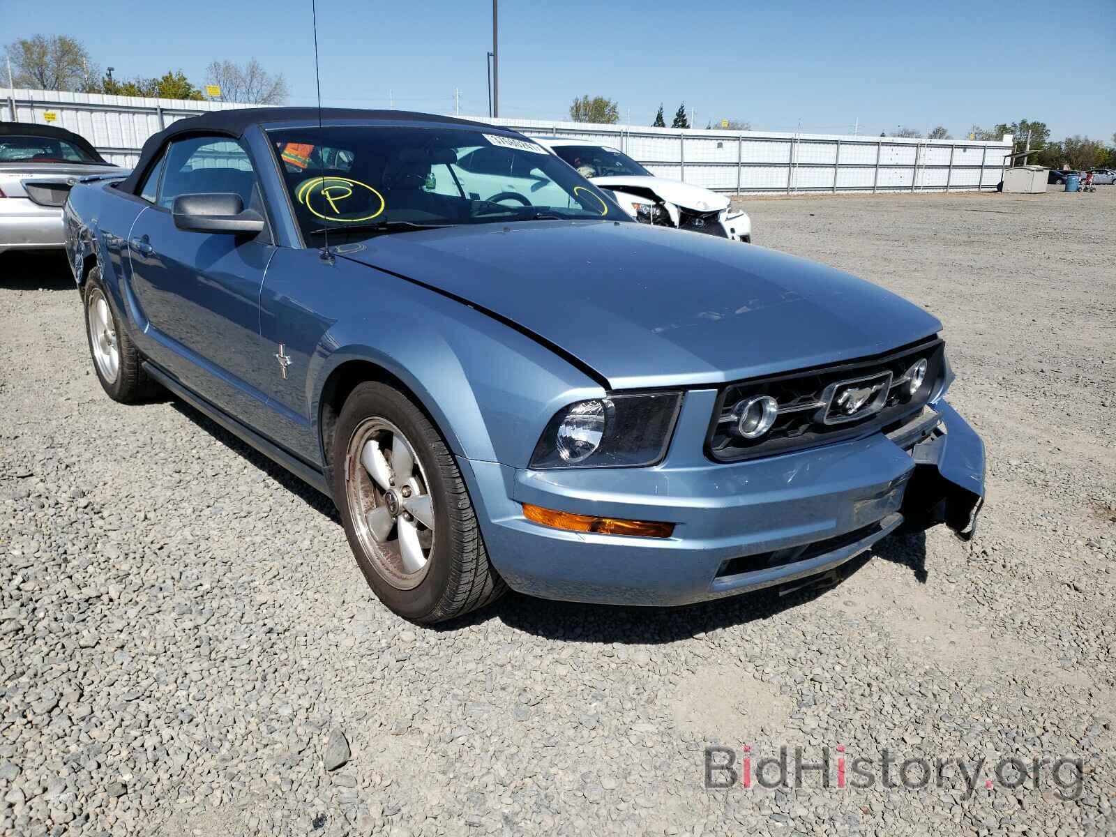 Photo 1ZVHT84N275238330 - FORD MUSTANG 2007