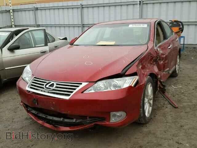 2010 LEXUS ES350 - VIN: JTHBK1EG8A2360409 - Фото 2
