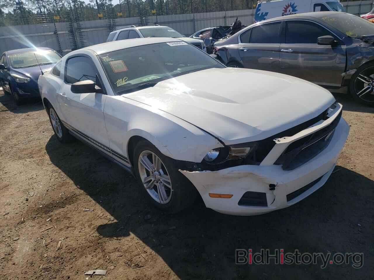 Photo 1ZVBP8AN7A5146409 - FORD MUSTANG 2010